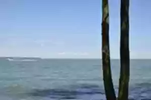 Free download Marblehead Lighthouse State Park (Marblehead, Ohio) [2019-06-21] free photo or picture to be edited with GIMP online image editor